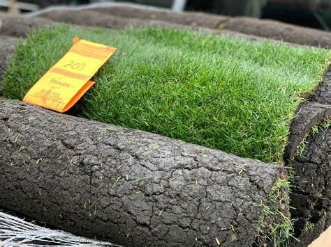 All our sod pricing is now online! – Sod and Seed