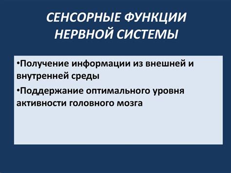 Сенсорные функции нервной системы - презентация онлайн