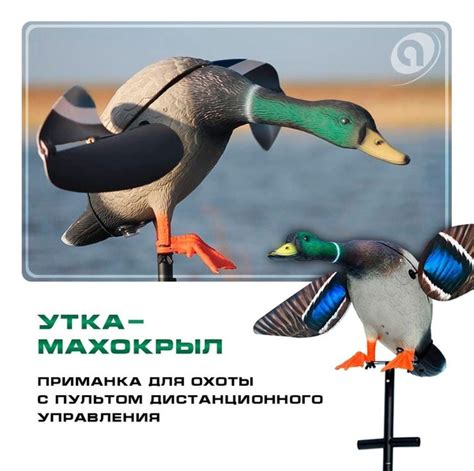 Махокрыл для охоты на утку - купить с доставкой по выгодным ценам в ...