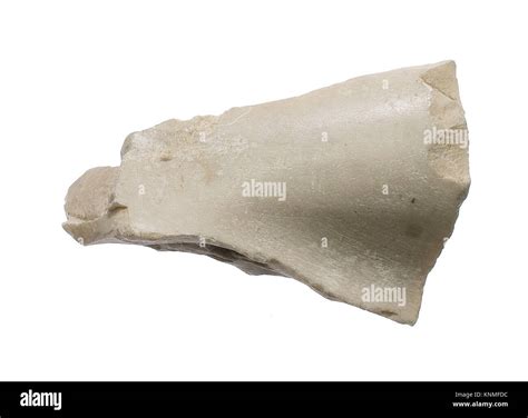 Body Miscellaneous Part Aten Cartouche Period New Kingdom Amarna