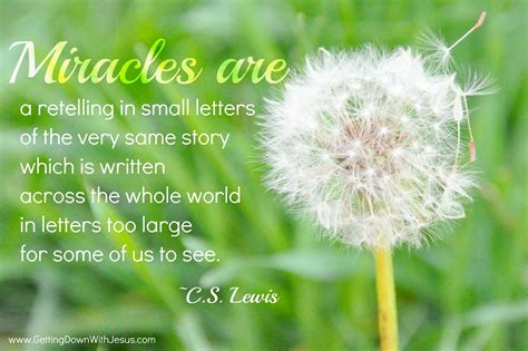 {through the lens} The Definition of a Miracle - Jennifer Dukes Lee