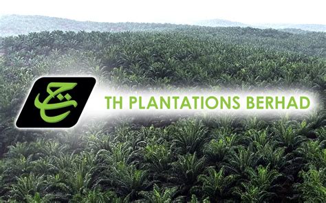 BERNAMA TH PLANTATIONS NET PROFIT FALLS 63 PCT TO RM9 76 MLN IN Q2