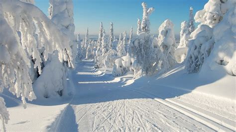 Snowy Winter Scenes Wallpaper (44+ images)