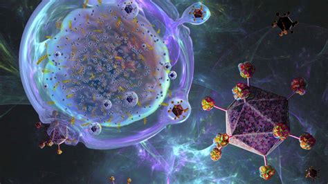 Cell therapy | QIAGEN