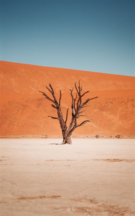 عکس منظره کویر
