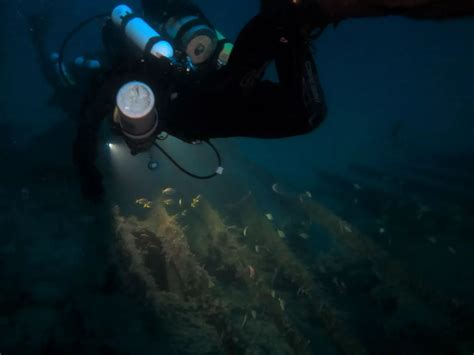 Ss Tuggerah Wreck Dive Site Padi