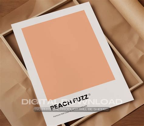 Pantone Color Of The Year Pantone 2024 Print Poster Pantone Peach