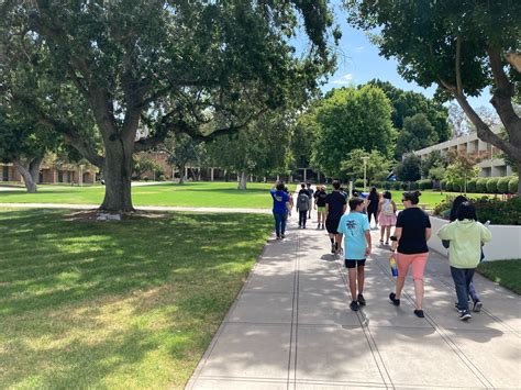 ucr cs courses