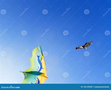 Two kites in the sky stock photo. Image of summer, kites - 156149298