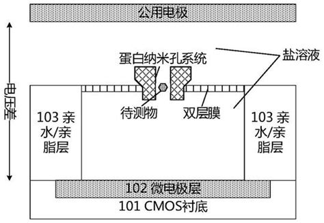 微流控芯片及其制备方法与流程