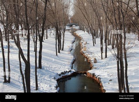 Qiqihar Qiqihar China 12th Mar 2018 Qiqihar China Winter Scenery