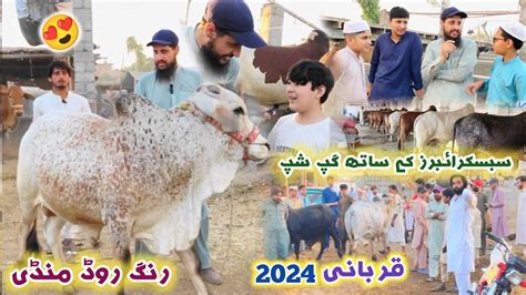 Ring Road Maweshi Mandi Peshawar Eid Ul Azha New Updates 2024 Qurbani