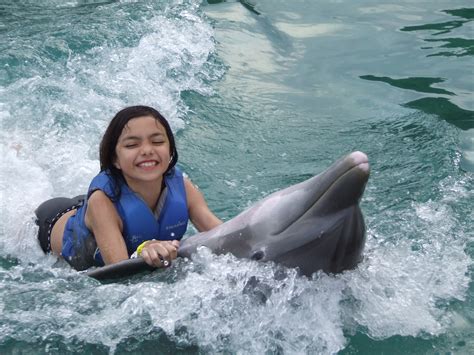 Dolphin Cove – The Ultimate Negril Family Tour - AmstarDMC