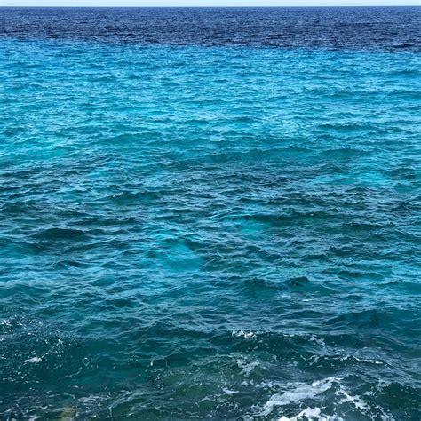 El azul del mar tiene algo que embriaga nuestros sentidos #freelandcook
