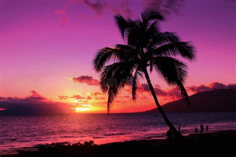 Purple Sunset Stock Photo - Image: 184360