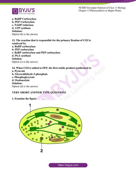 Ncert Exemplar Solution For Class Biology Chapter Get The Pdf Here