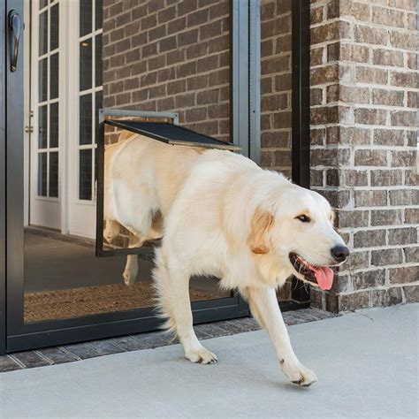 Amazon.com : PetSafe Never Rust Screen Door – Size Large – for Dogs and ...