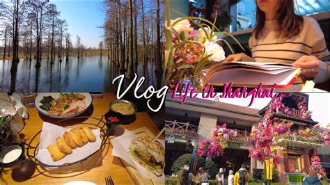 Vlog Days In My Life Water Forest Vegan Restaurant Walking Around The