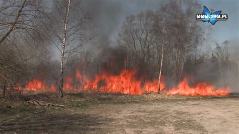 STOP pożarom traw ruszyła kolejna edycja kampanii CDA