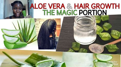 HOW TO EXTRACT ALOE VERA GEL IN LESS THAN 5 MINS COMPLETE GUIDE