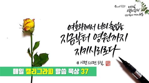 성경말씀 캘리그라피 37 | bible calligraphy | 은혜로운 말씀묵상 | 말씀캘리 | 성경암송 - YouTube
