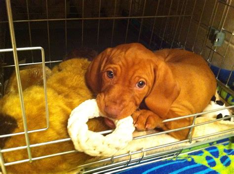 120 Best Kiska Images On Pholder Wwiipics Warship Porn And History Porn