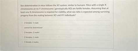 Sex Determination In Mice Follows The XY System Chegg