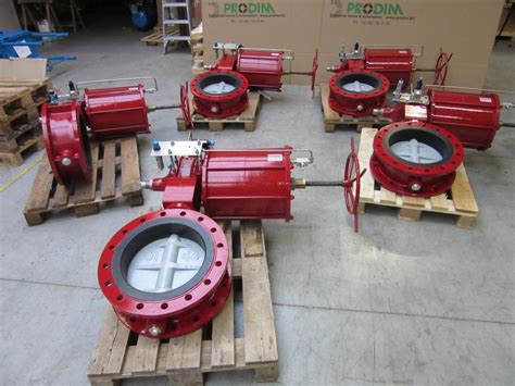 Lot Of Double Flanged Butterfly Valves Dn Dn Pn Ggg Body