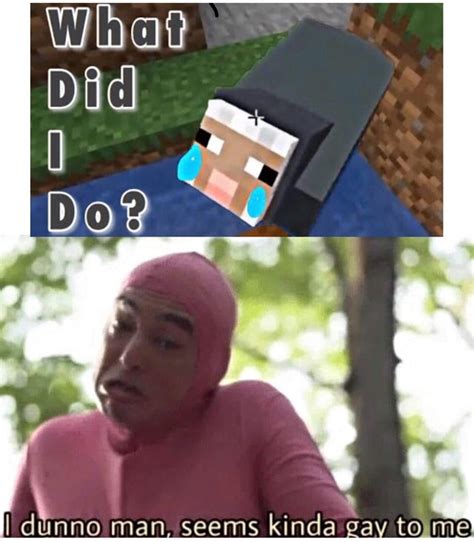 Minecraft Seems Kinda Gay To Me Know Your Meme