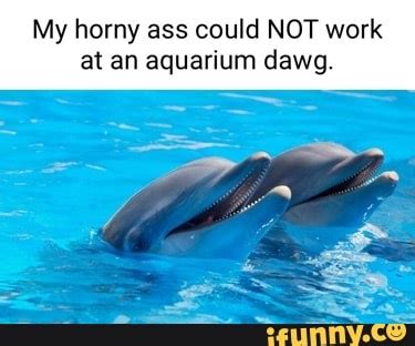 My Horny Ass Could NOT Work At An Aquarium Dawg IFunny