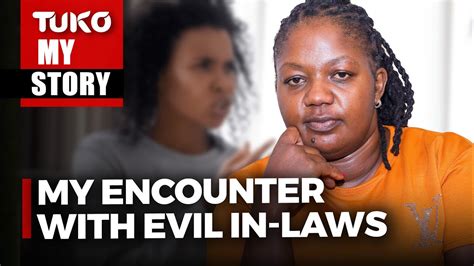 Chimpanzee Chronicles Sex Relationships Kenya Talk