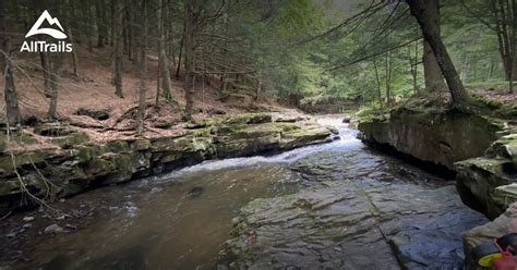 Best Hikes and Trails in Spring Brook | AllTrails