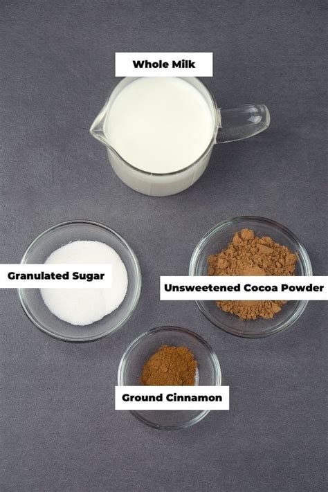 Cinnamon Hot Chocolate Foodzetic