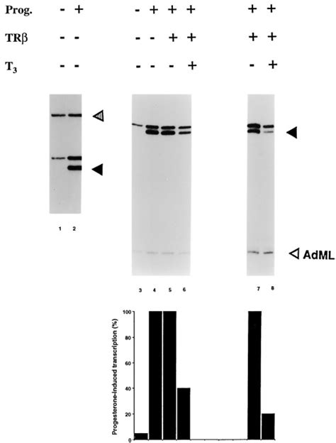 Ligand Dependent Cross Talk Between Steroid And Thyroid Hormone