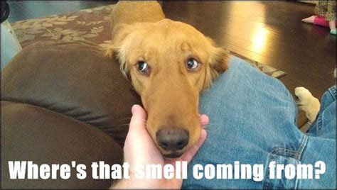 Innocent Phrases That Have A Different Meaning When You Re Naked Pics