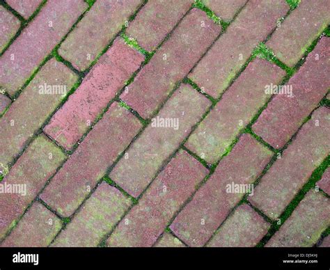 Pavement tiles hi-res stock photography and images - Alamy