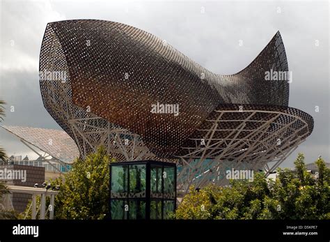 Frank Gehry Fish