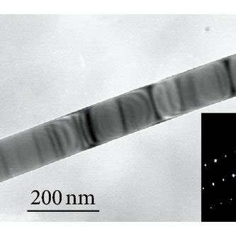 Morphology Of The As Grown ZnS Nanobelts A Low Magnification SEM