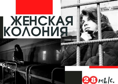 Жизнь в женской колонии. Адаптация после тюрьмы. | Астропрогнозы | Дзен