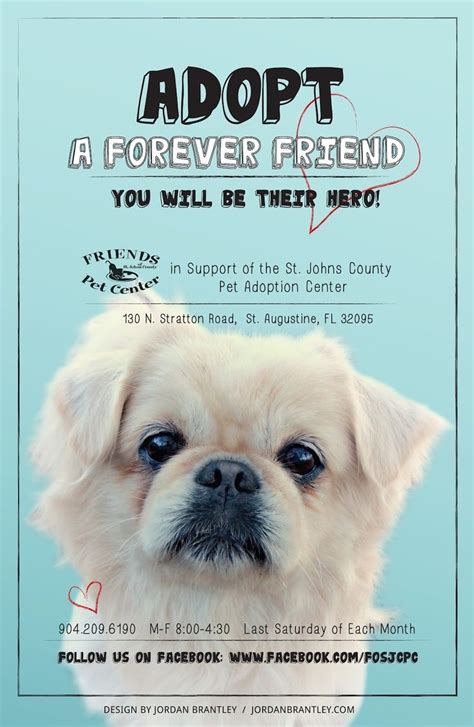 adopt poster | Приют для животных, Плакат, Выставка собак