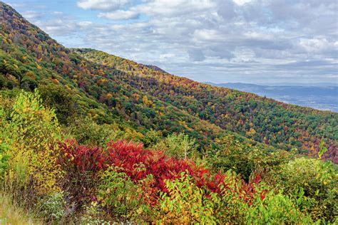 Beautiful Fall Foliage In The Blue Ridge Mountains Photograph By Lori