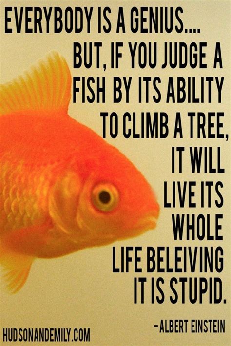 Pursuing Dreams Quotes. QuotesGram