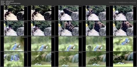 Senior Sex On A Park Bench Archives VoyeurPapa