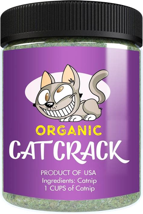The 8 Best Catnip Options For Bringing Out The Silly In Your Feline
