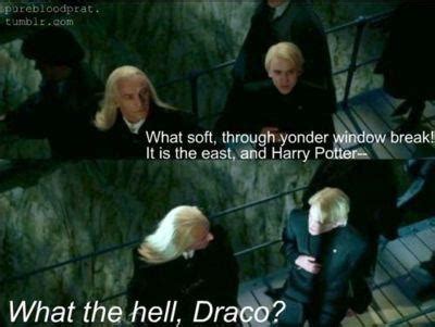 Drarry Harry Potter Gay Harry Potter Harry Potter Puns