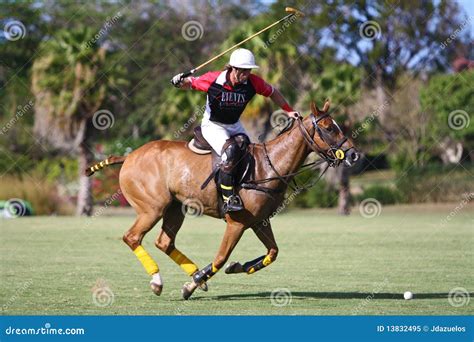 Polo Player Riding A Horse Royalty-Free Stock Photo | CartoonDealer.com ...