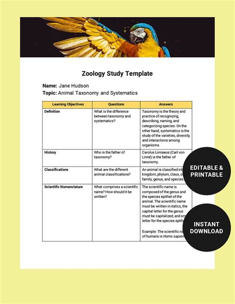 study template  word google docs  templatenet