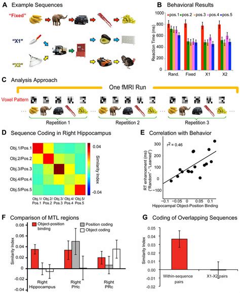 Hippocampal activity patterns carry information about objects in ...
