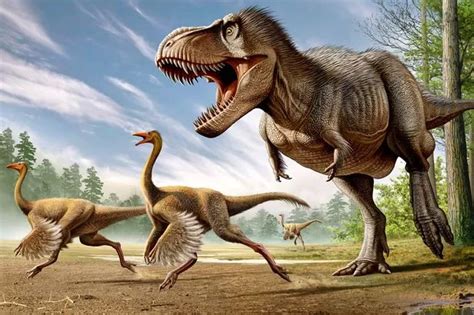 Tiny Arms Of Fearsome T Rex Dinosaur Were No Mistake Of Nature New