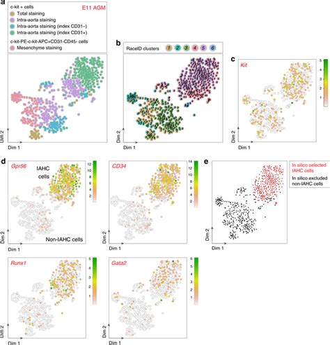 Scrna Seq Allows In Silico Purification Of Iahc Cells From E11 Agm Ad